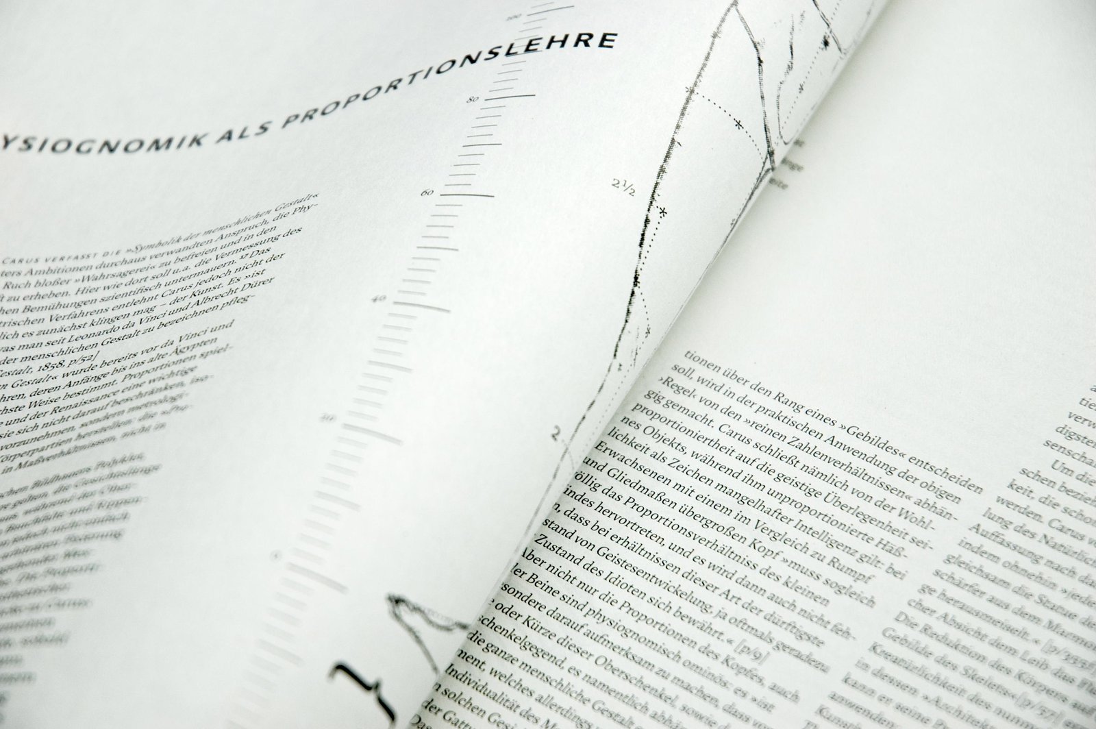 Layout einer Doppelseite mit netten Mischung aus Illustration und Text.
